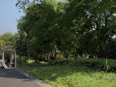 -张坝桂圆林公园