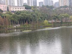 -重庆彩云湖湿地公园