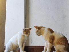 -前叁門