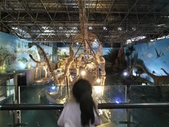 -中国西峡恐龙遗迹园