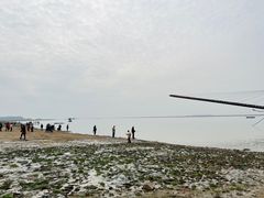 -湖南东洞庭湖国家级自然保护区
