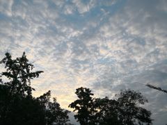 -重庆长寿碧桂园凤悦凤凰酒店