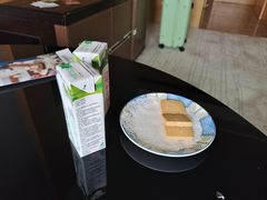 -河源万绿湖美思威尔顿酒店