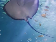 -常州海昌海洋探索馆