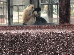 -昆明动物园