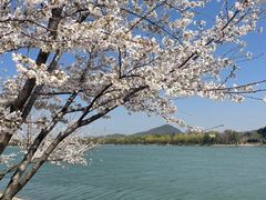 -羊山湖公园
