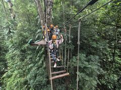 -西双版纳原始森林公园