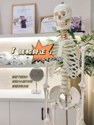 -颜和骨正·明哲式骨相美学整骨
