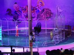 -福州罗源湾海洋世界旅游区