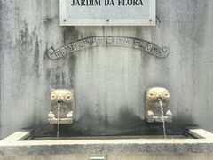 -东望洋炮台东望洋灯塔