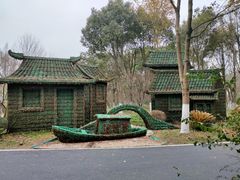 -东平国家森林公园