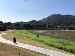 -风云岭森林公园