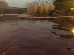 -天目湖涵田度假村