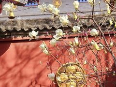 -西安市广仁寺