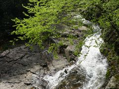 -溪口-滕头旅游景区