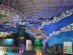 -烟台海昌鲸鲨海洋公园