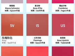 -海星奢选二手奢侈品手表包包鉴定回收寄卖(墨玉南路店)