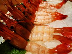 甜虾-初花·日本料理