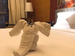 -深圳观澜格兰云天国际酒店