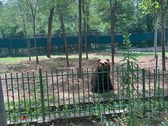 -秦皇岛野生动物园