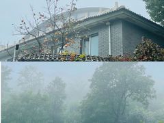 -北京西山国家森林公园