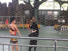 -泉州海丝野生动物世界