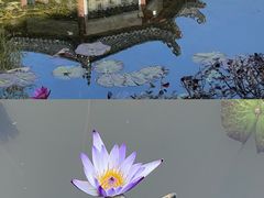-广东花都湖国家湿地公园