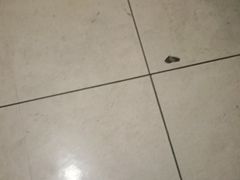 -大商麦凯乐(大连总店)