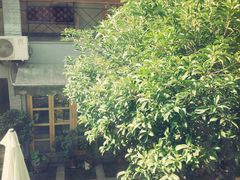 wKgB4lI4bpmAQgJIAAnabHaQx5s85.groupinfo.w600-伽蓝殿民宿