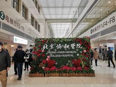-北京协和医院(东单院区)