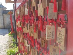 -阳台山自然风景区