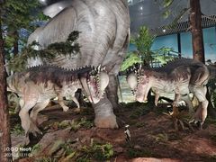 -湖南省地质博物馆