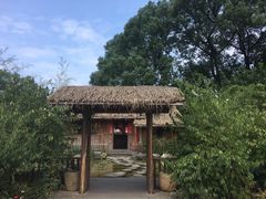 -南山植物园