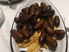 -海派美食·家宴海鲜青岛菜·石锅鲽鱼头(东方城店)