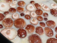 猪肚鸡火锅-捞王锅物料理(上海世茂广场店)