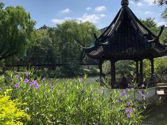 -上海醉白池公园