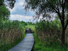 -沙家浜风景区