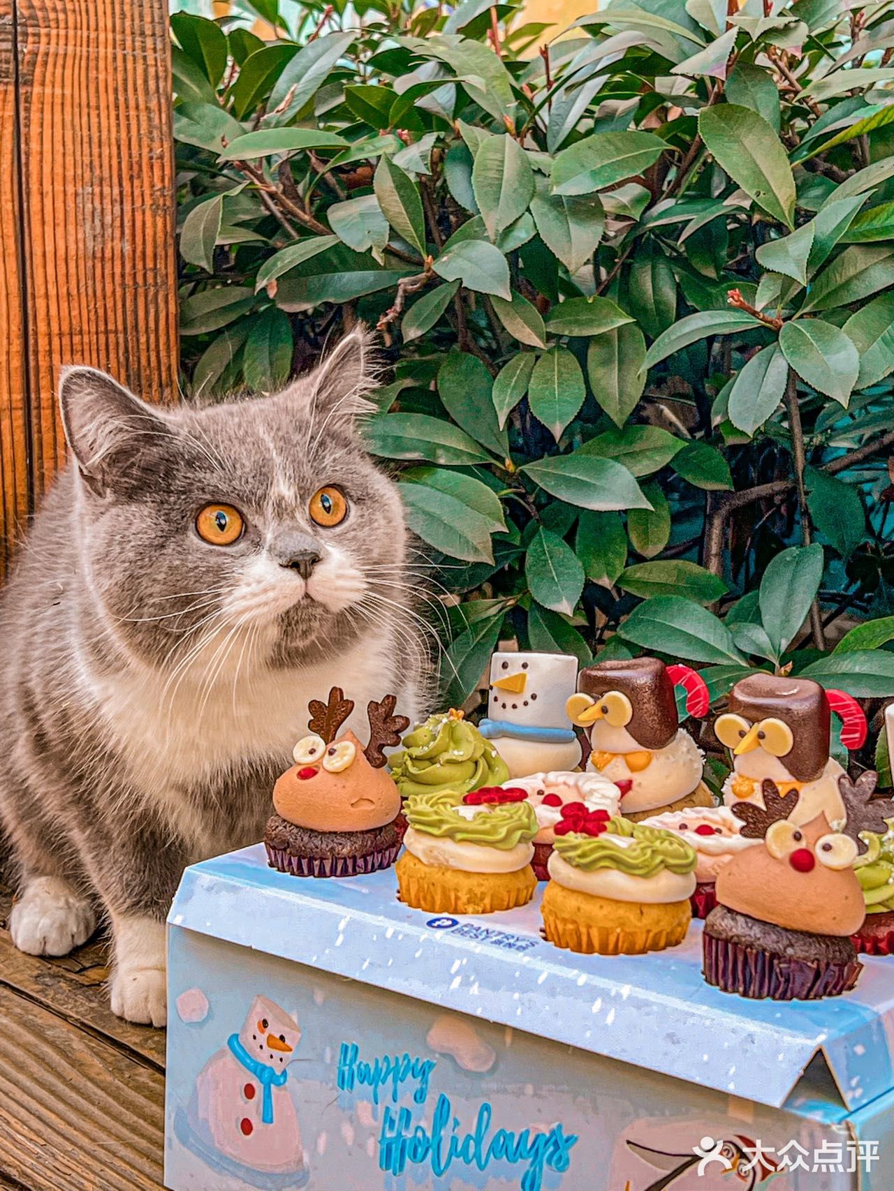 🧁已经忍不住要过圣诞节了！！