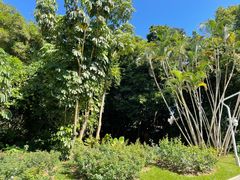 -人民公园(罗湖区)