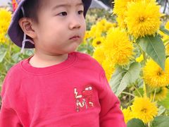 -北陵公园