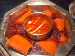 -蜀九香火锅(彩虹店)