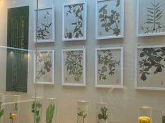 -广东中医药博物馆