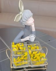 -北京嘉禾医疗