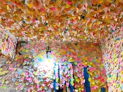 -阿信厚吐司(曾厝垵店)