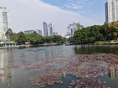 -荔湾湖公园