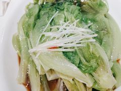 -金春禧(世茂国际广场店)