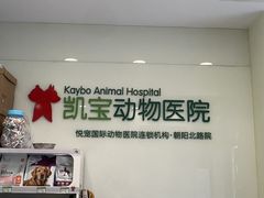 -悦宠凯宝动物医院·牙科·皮肤科(朝阳北路店)