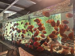 -怡咖啡海鲜自助餐厅(浦东香格里拉店)