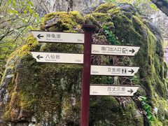 -刘伯温故里景区百丈漈