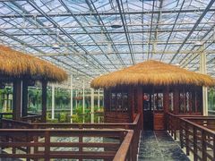 -上海鲜花港
